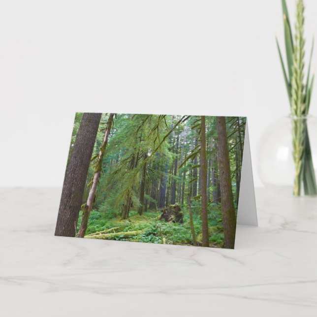 Gammelskog Kort (Framsida)