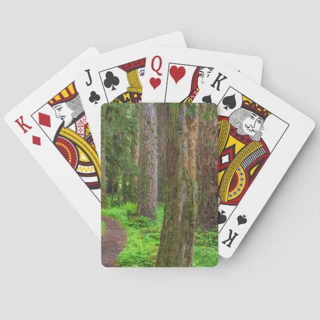 Gammelskogspanorama Casinokort (Baksidan)