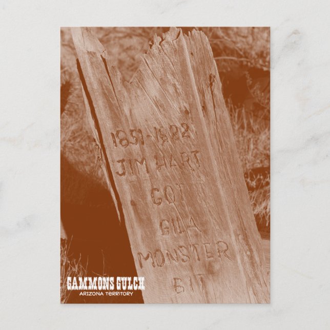 Gammons Gulch Souvenir-vykort Vykort (Framsida)