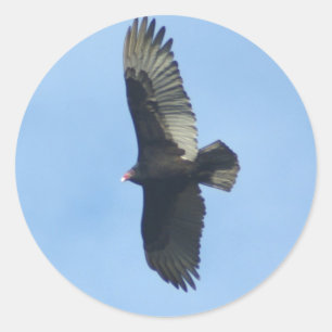 GamOrnithology Runt Klistermärke