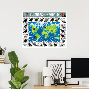 Gamvärldens Gamar Poster