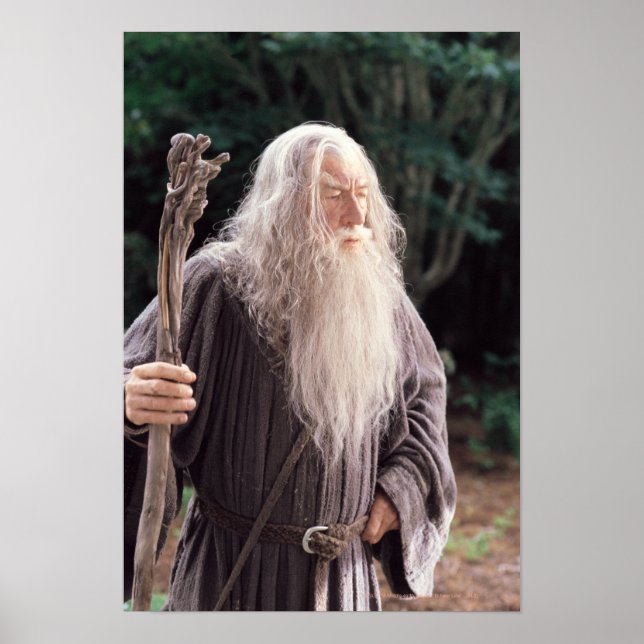 GANDALF™-anseende Poster (Framsidan)