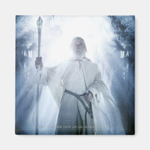 GANDALF™ Glowing Magnet