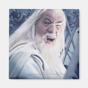 GANDALF™ i strid Magnet