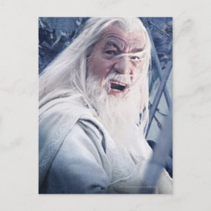 GANDALF™ i strid Vykort