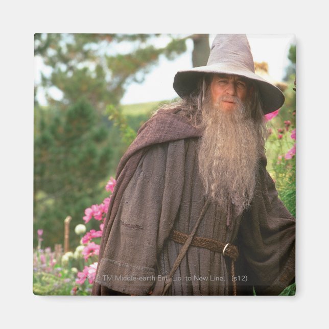 GANDALF™ med hög Magnet (Framsidan)