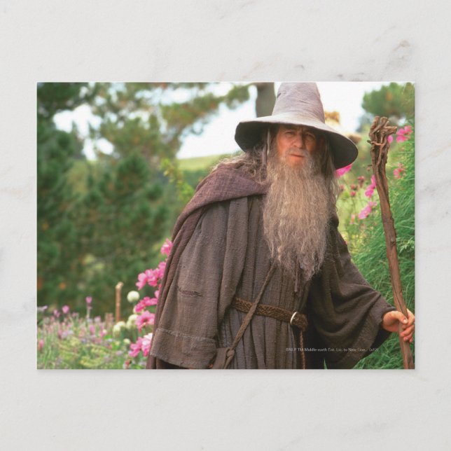 GANDALF™ med hög Vykort (Framsida)