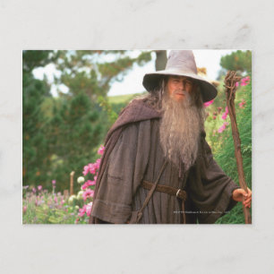 GANDALF™ med hög Vykort