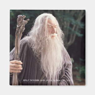 GANDALF™ Stående Magnet