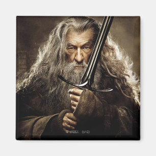 Gandalf-tecken Poster 1 Magnet