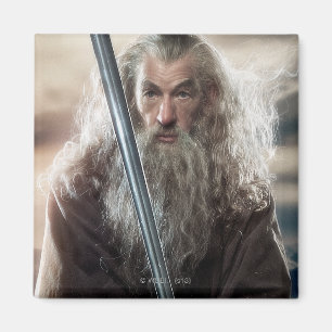 Gandalf-tecken Poster 2 Magnet