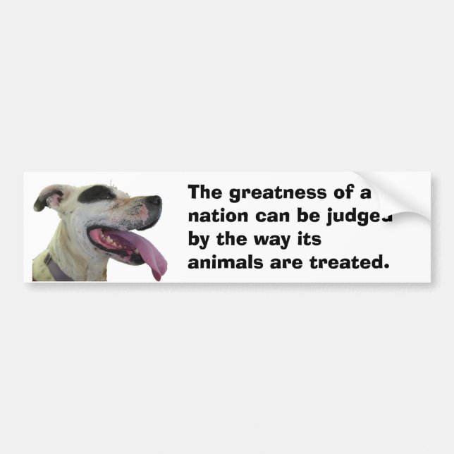 Gandhi Animal Quote Hund Bildekal (Framsidan)