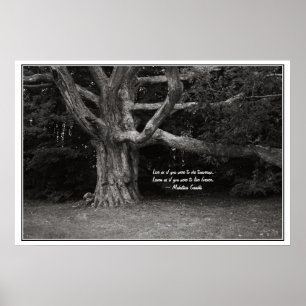 Gandhi citationsteckenaffisch, Perley Oakmonokrom Poster