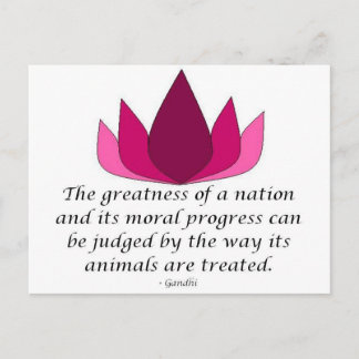 Gandhi Quote Vykort