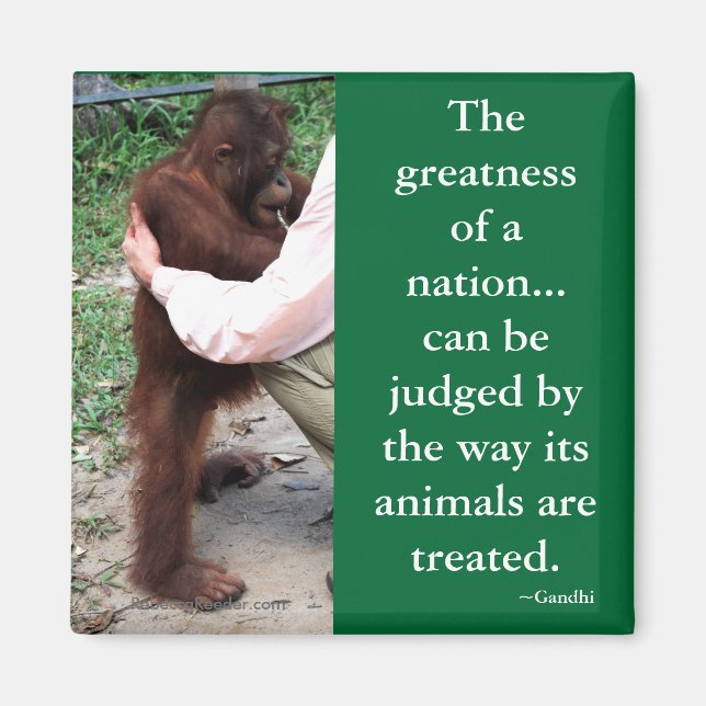 Gandhis djurcitat magnet (Framsidan)