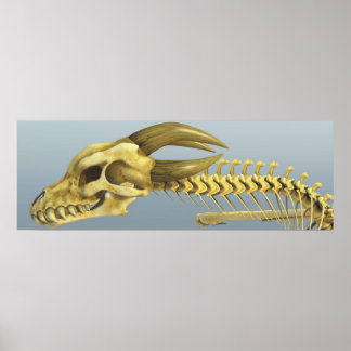 Gång A Dragon Poster