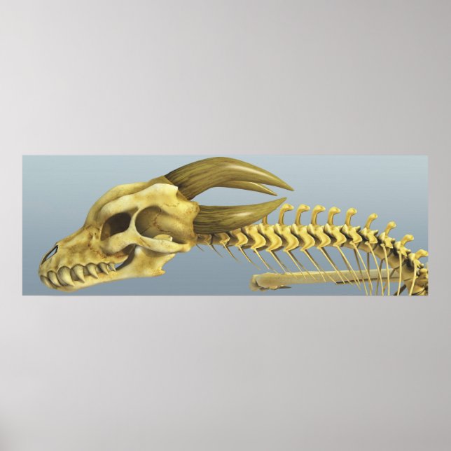 Gång A Dragon Poster (Framsidan)