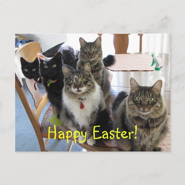 Gang Glad påsk vykort (Framsida)