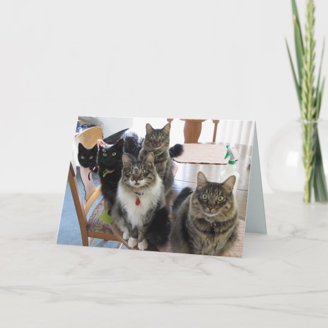 Gang-kortet för att få brunn kort (Framsida)