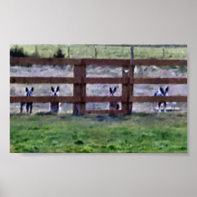 Gang Poster (Framsidan)