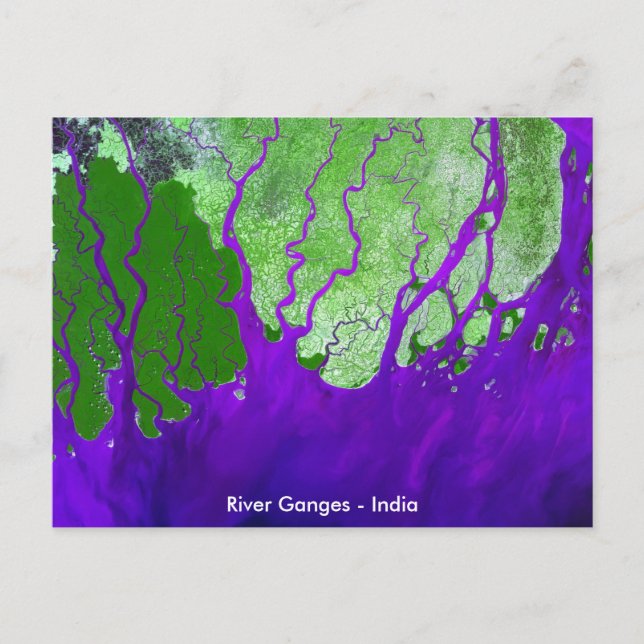 Ganges River Delta Satellite Image - Indien Vykort (Framsida)