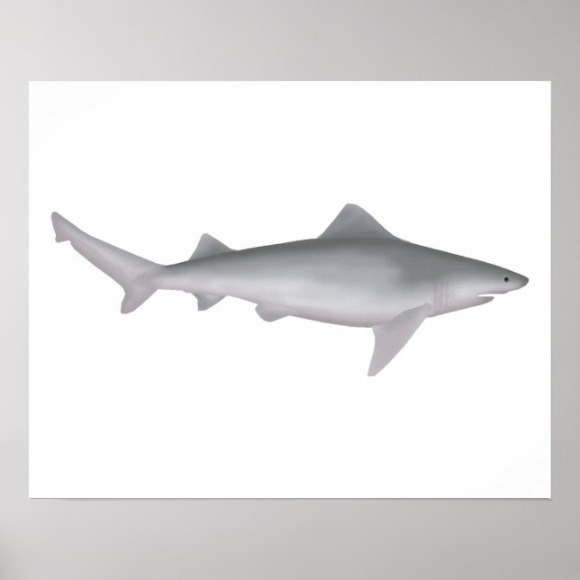 Ganges Shark Poster (Framsidan)