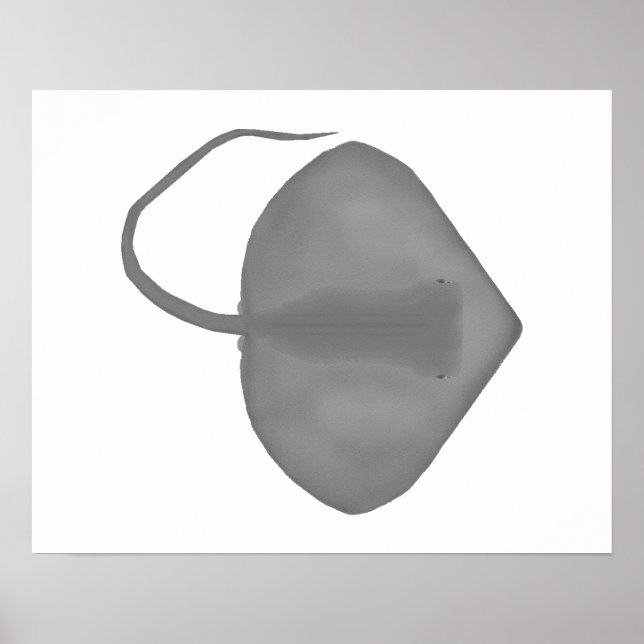 Ganges Stingray Poster (Framsidan)