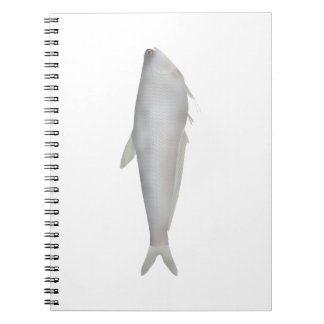 Gangetic Hairfin Anchovy  Anteckningsbok