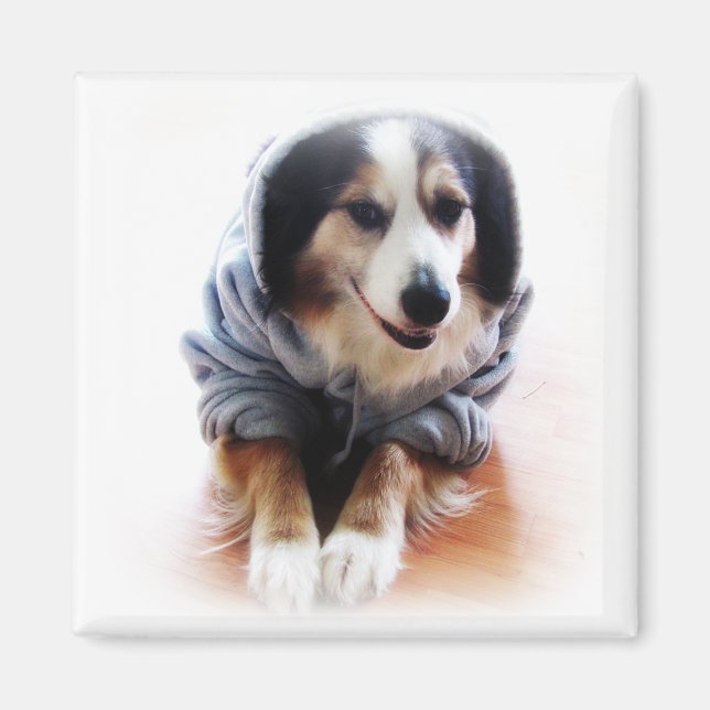Gangsta Hund Wearing Hoodie Magnet (Framsidan)