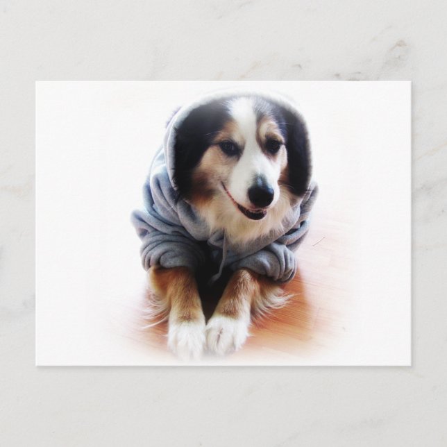 Gangsta Hund Wearing Hoodie Vykort (Framsida)