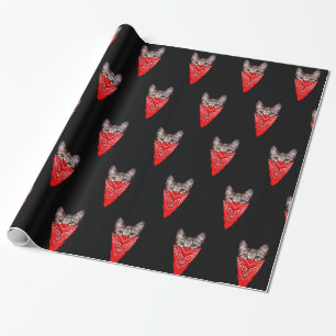 Gangster cat-huva presentpapper