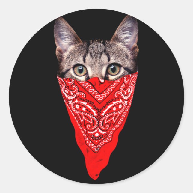 Gangster cat-huva runt klistermärke (Framsida)
