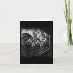 Gangster Cats Street Funny Graphic Humor Kort