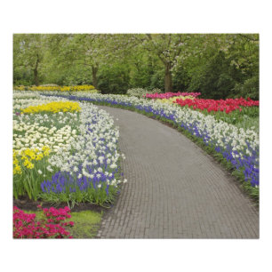 Gångväg genom tulpaner och narcissus, 2 fototryck