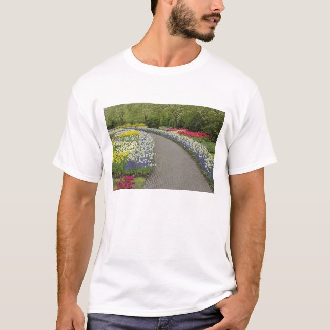 Gångväg genom tulpaner och påskliljor, 2 tee (Framsida)