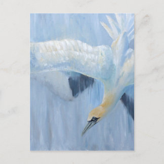 Gannets som dyker unika gåvor för dig vykort