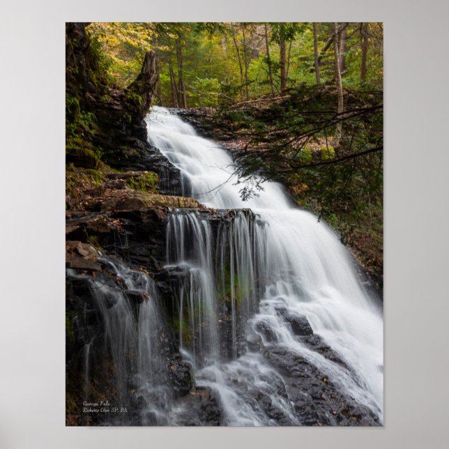 Ganoga Falls 11" x 14" Poster (Framsidan)