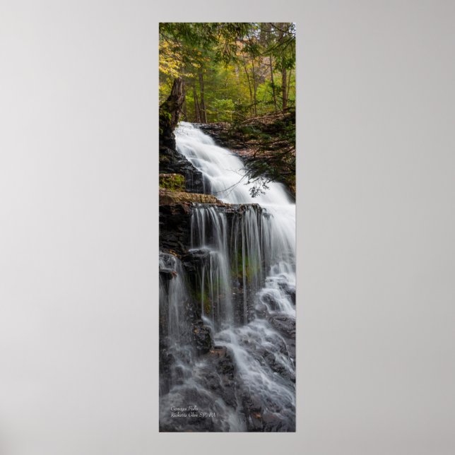 Ganoga Falls 12" x 36" Poster (Framsidan)