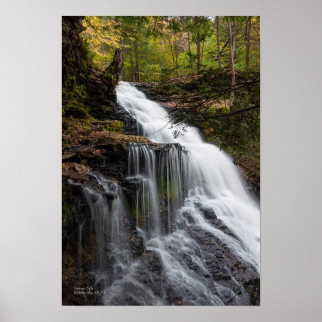 Ganoga Falls 13" x 19" Poster (Framsidan)