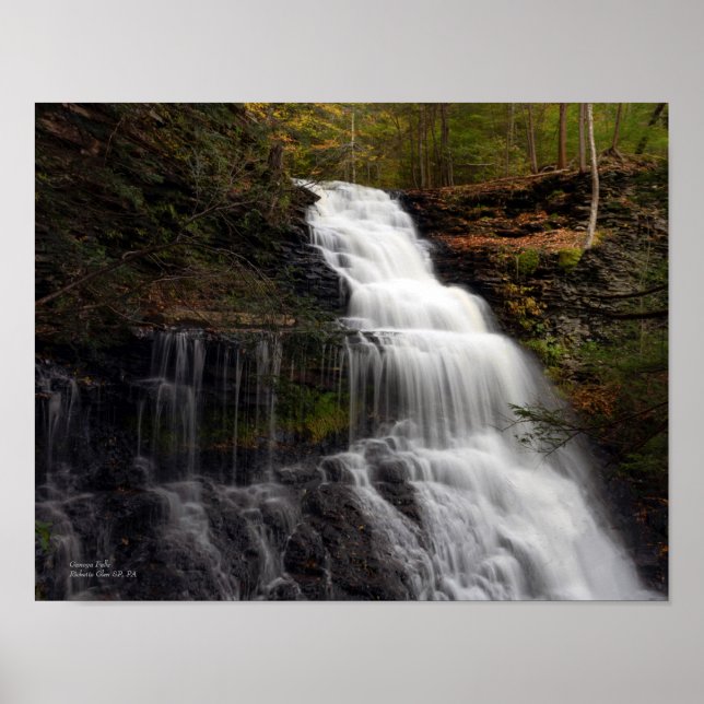 Ganoga Falls 14" x 11" Poster (Framsidan)