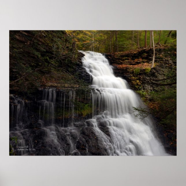 Ganoga Falls 24" x 18" Poster (Framsidan)