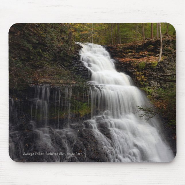 Ganoga Falls Musmatta (Framsidan)