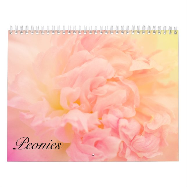 Ganska fantastiska pioner  kalender (Omslag)