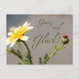 Ganz viel Glück - mit Marienkäfer! Vykort