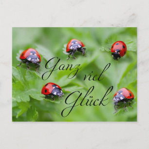 Ganz viel Glück - mit Marienkäfern! Vykort