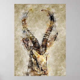 Gaqzelle Vintage Print Wall Art Poster