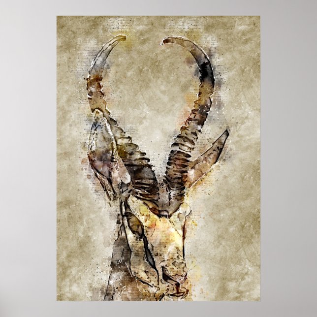 Gaqzelle Vintage Print Wall Art Poster (Framsidan)