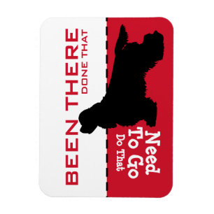 Går den stolt cockerspanieln för kungen Charles Magnet