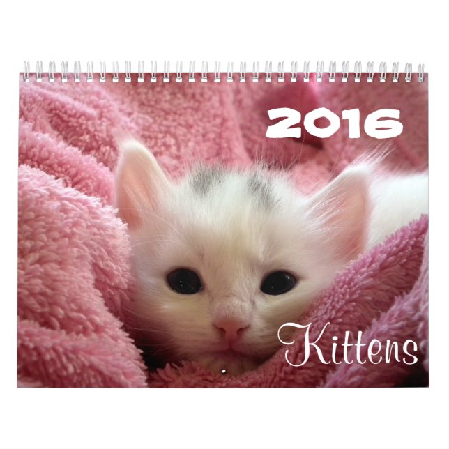 Går gullig ~ går kalendern för kattungar 2016 kalender (Omslag)