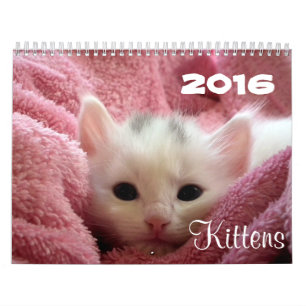 Går gullig ~ går kalendern för kattungar 2016 kalender